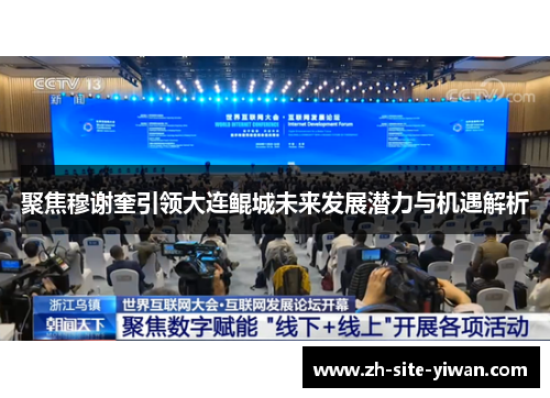 聚焦穆谢奎引领大连鲲城未来发展潜力与机遇解析